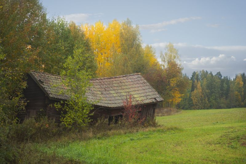 Roofing in Spring
